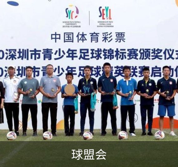 关于球盟会